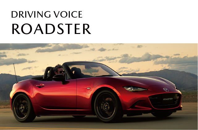 DRIVING VOICE ROADSTER