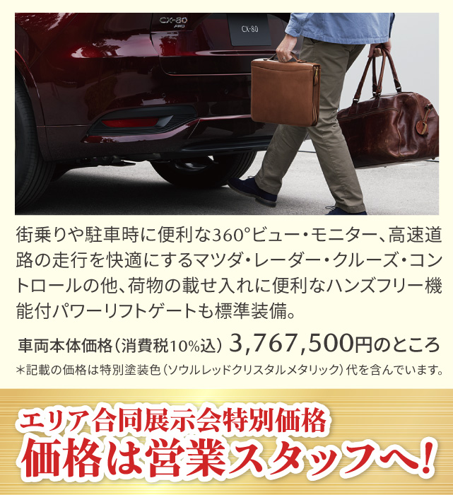 街乗りや駐車時に便利な360°ビュー・モニター、高速道路の走行を快適にするマツダ・レーダー・クルーズ・コントロールの他、荷物の載せ入れに便利なハンズフリー機能付パワーリフトゲートも標準装備。
