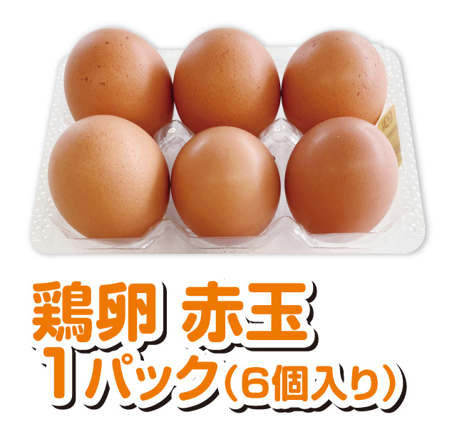 鶏卵　赤玉1パック（6個入り）