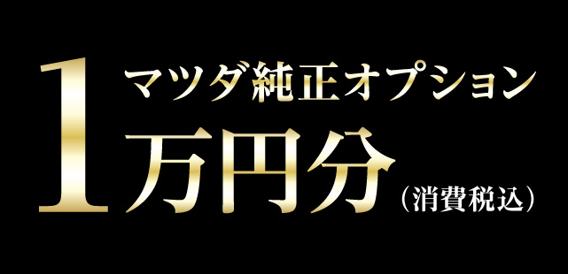 マツダ純正オプション1万円分（消費税込）
