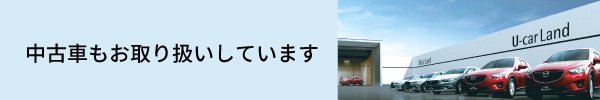 中古車のお取り扱いもしています