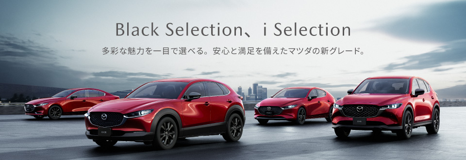 Black Selection、i Selection