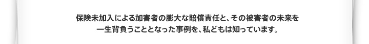 保険未加入による加害者の膨大な賠償責任と、その被害者の未来を一生背負うこととなった事例を、私どもは知っています。